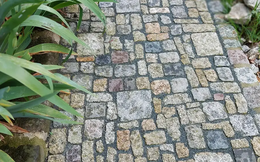 Ein mit Natursteinen gepflasterter Weg mit Pflanzen an den Seiten von Maximilian Peetz
