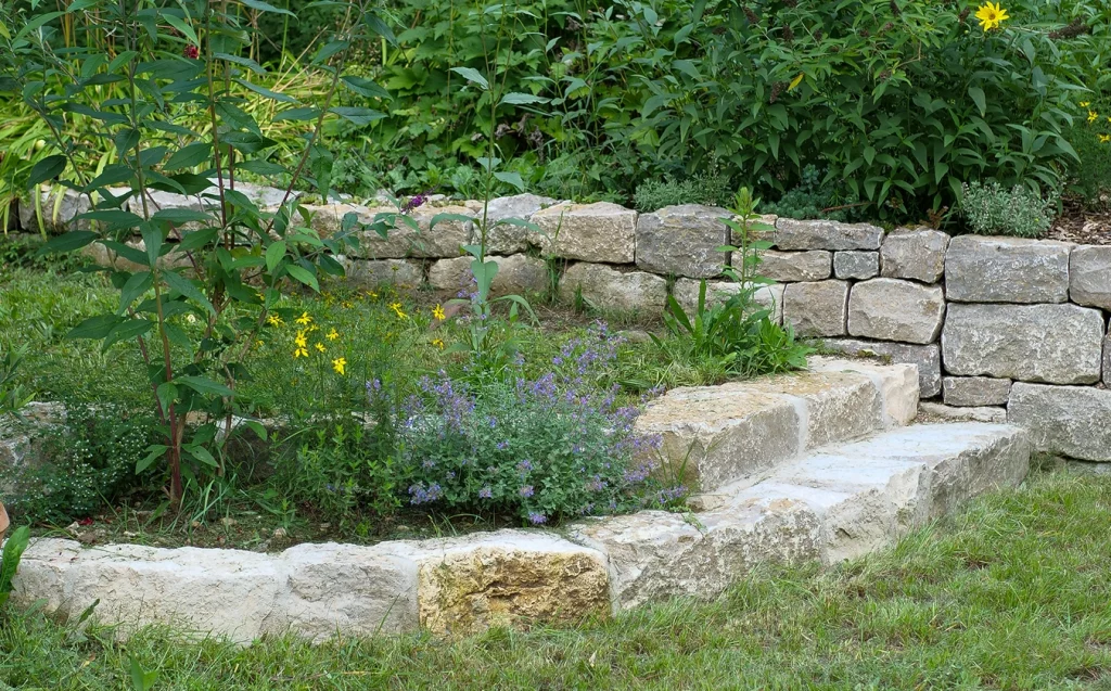 Garten mit Anbau von Pflanzen